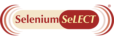 Selenium SeLECT